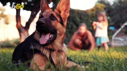 Food Delivery App Hacks to Get the Most Bang for Your Buck