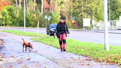 Déjections animales : l'énergie verte de la Finlande