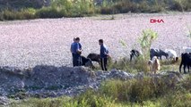 Antalya sazlık alanda kaçak avcı alarmı