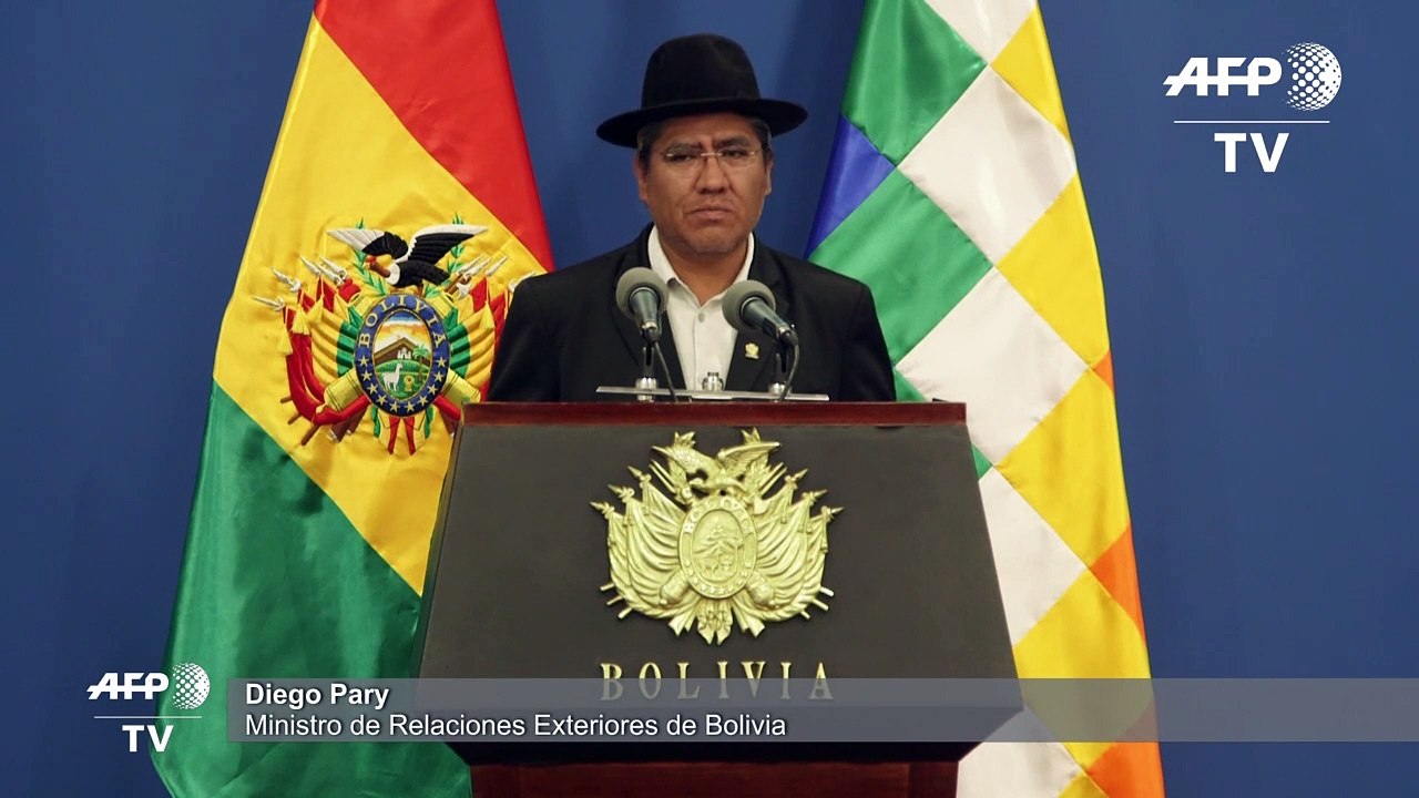 Bolivia y OEA acuerdan auditoría "vinculante" a polémicas elecciones