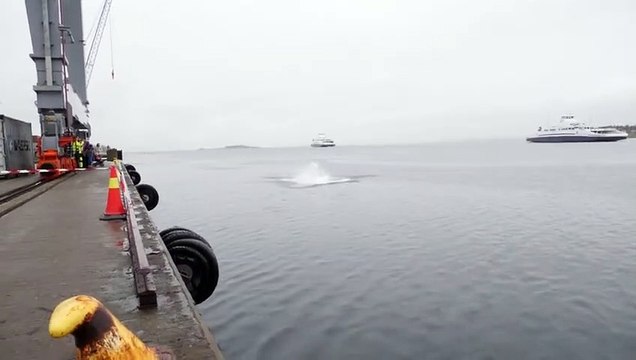 Cet homme saute d’une grue d'un conteneur d'une hauteur de 27 mètres et s’en sort sain et sauf.