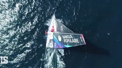 Stage en immersion pour Clarisse Crémer aux côtés d'Armel Le Cléac'h