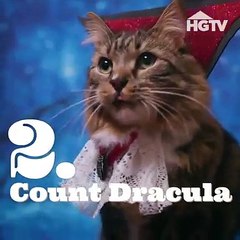 pet Halloween costumes 2019