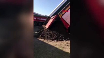 Hollanda'da inşaat işçilerinden protesto