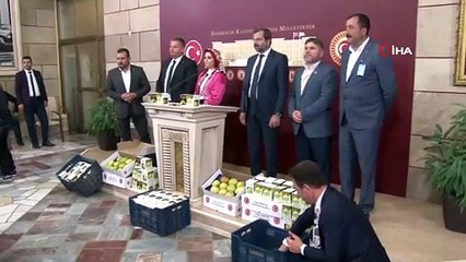 AK Partili vekil TBMM'de Gürsu armudunu tanıttı