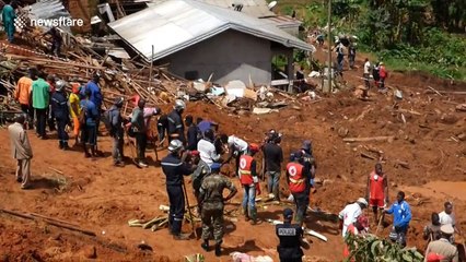 42 confirmed dead after landslide in Cameroon