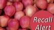 6 Apple Varieties Recalled in Multiple States Over Listeria Concerns