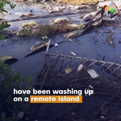 Ships Illegally Dump Plastic In Sea