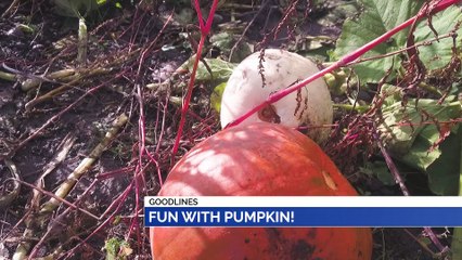 GOODLINES: 31st October 2019