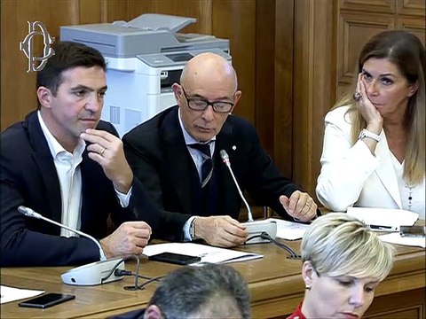 Roma - ​Sviluppo economico, audizione Patuanelli su linee programmatiche (30.10.19)