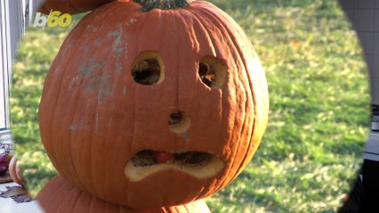 Why Carving Pumpkins Aren’t Great for Cooking and Eating
