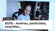 Androu, pesticides, coquilles... Cinq infos bretonnes du 30 octobre