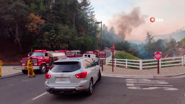 - Kaliforniya Orman Yangınlarıyla Mücadele Ediyor- Yağmalama Başladı, Ünlüler Evlerini Terk Etti