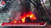 Kaliforniya orman yangınlarıyla mücadele ediyor
