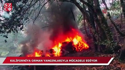 Kaliforniya orman yangınlarıyla mücadele ediyor