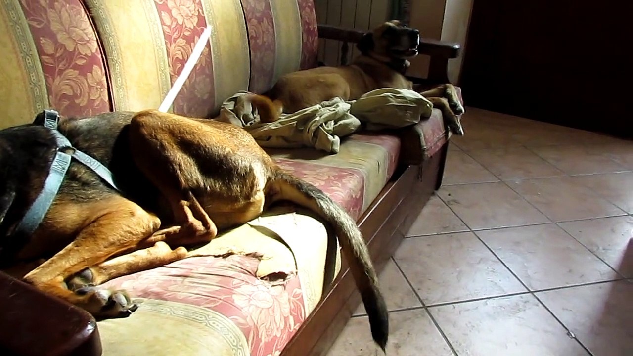 Ettore e Tyrone