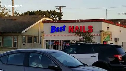 Mass shooting in Long Beach left several injured and 3 dead