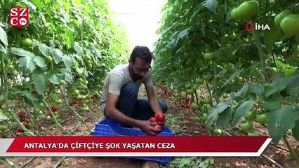 Antalya'da çiftçiye şok yaşatan ceza