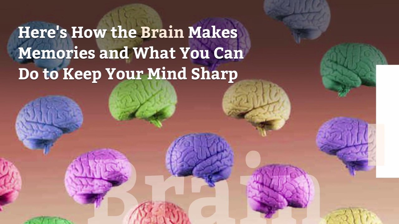 Here's How the Brain Makes Memories—and What You Can Do to Keep Your Mind Sharp