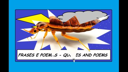 Você não é percevejo, mas a sua atitude fede! [Frases e Poemas]