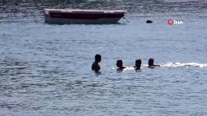 Bodrum'da sarı yaz keyfi