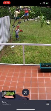 Mischievous Little Adventurers Tumble from Tree