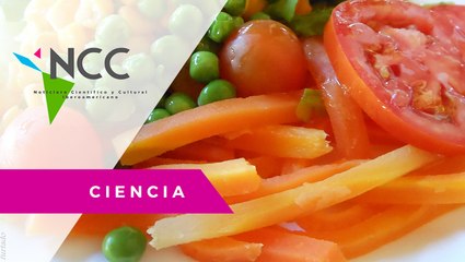 El des­per­di­cio y la fal­ta de ali­men­tos, la pa­ra­do­ja del S. XXI