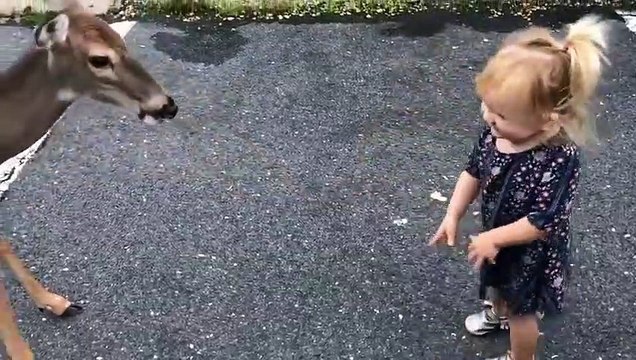 Cette fillette rencontre une biche devant sa maison ! Trop mignon