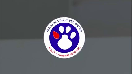 Campanha de doação de sangue