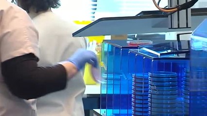 Un niño de 7 años permanece en observación tras haber tenido contacto con el británico infectado