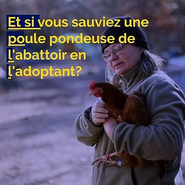Votre brief info en images de ce lundi après-midi.