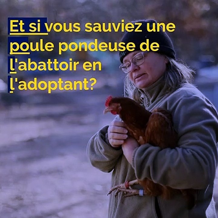 Votre brief info en images de ce lundi après-midi.