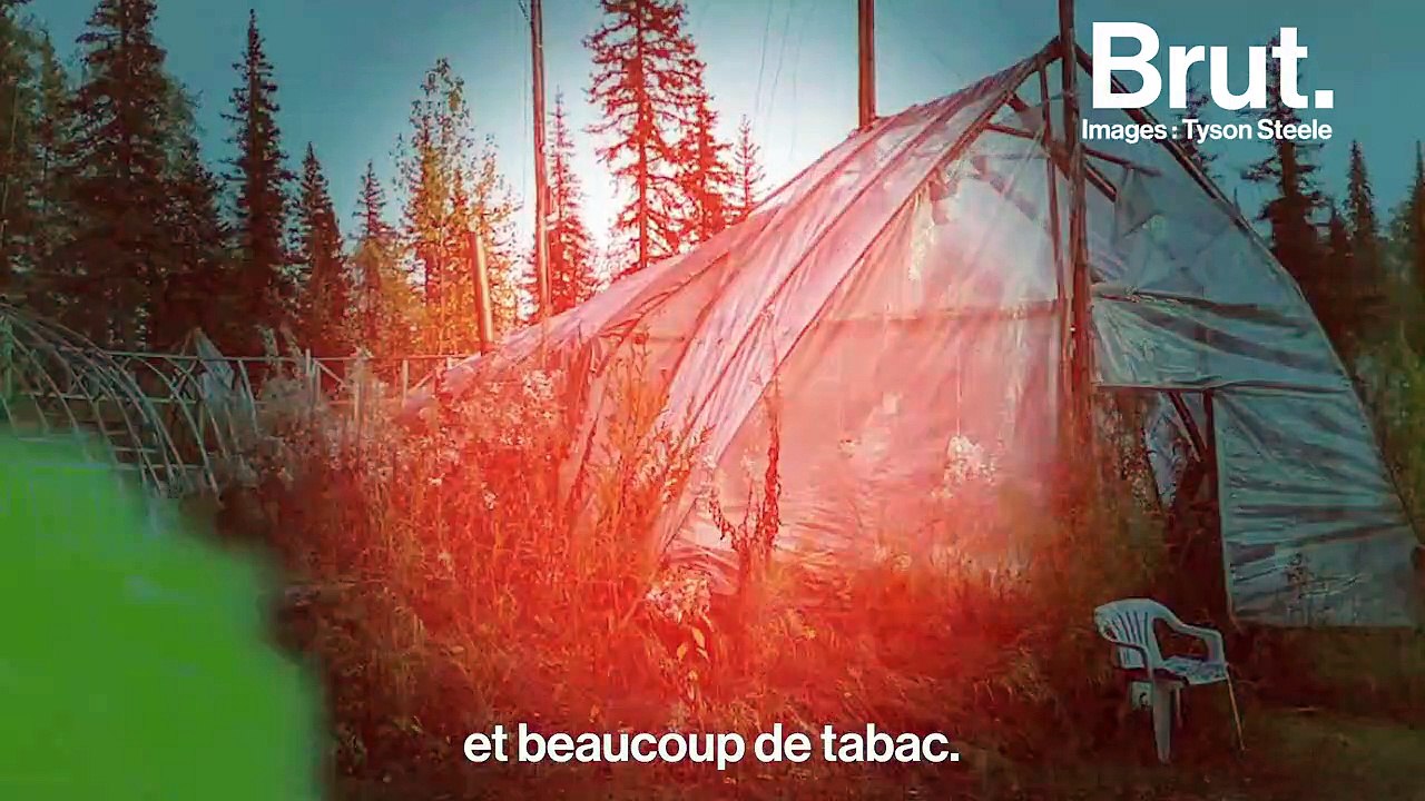 Pendant 20 jours, Tyson Steele a survécu dans le froid polaire de l'Alaska