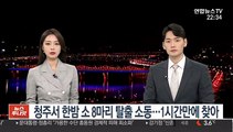 청주서 한밤 소 8마리 탈출 소동…1시간만에 찾아