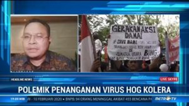 KPPOD: Penanganan Virus Hog Cholera Harus Dikomunikasikan dengan Jelas