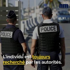 Policier blessé, pas de lucioles à Châteauvallon, chevaux sauvages: voici votre brief info de ce mercredi après-midi