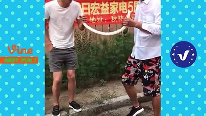 Funny Videos 2020 TRY NOT TO LAUGH