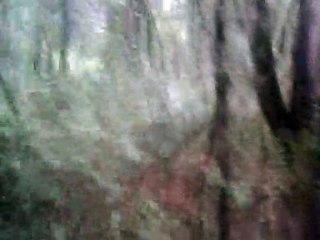 she'll be coming 'round the mountain c