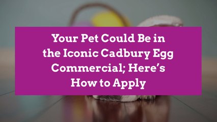 Your Pet Could Be in the Iconic Cadbury Egg Commercial; Here’s How to Apply