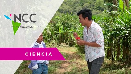 Jo­ven hon­du­re­ño trans­for­ma la reali­dad de un pue­blo con el po­der de la edu­ca­ción