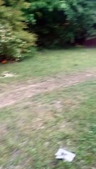 Kids Go Fast on Go-Kart