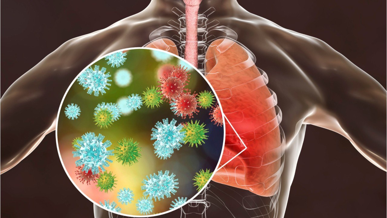 Coronavirus Death Toll Nears 500