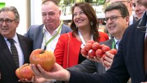 Andalucía pedirá al Gobierno rebajar al 50% la tributación de frutas y hortalizas