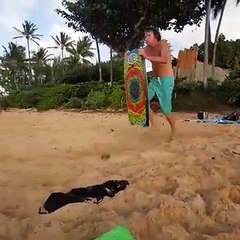 Descargar video: Ce grand père a raté son sandboard et s’est pris la tête dans le sable sur la plage.