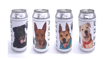 This Woman Was Reunited with Her Missing Dog After Spotting Him on a Beer Can