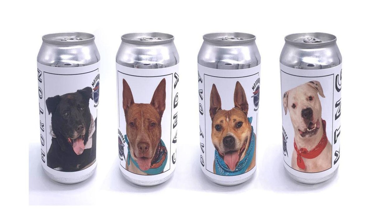 This Woman Was Reunited with Her Missing Dog After Spotting Him on a Beer Can