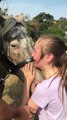 Girl Sheds Tears of Joy over Her Horse