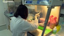 OMS regista maior aumento de casos de coronavírus