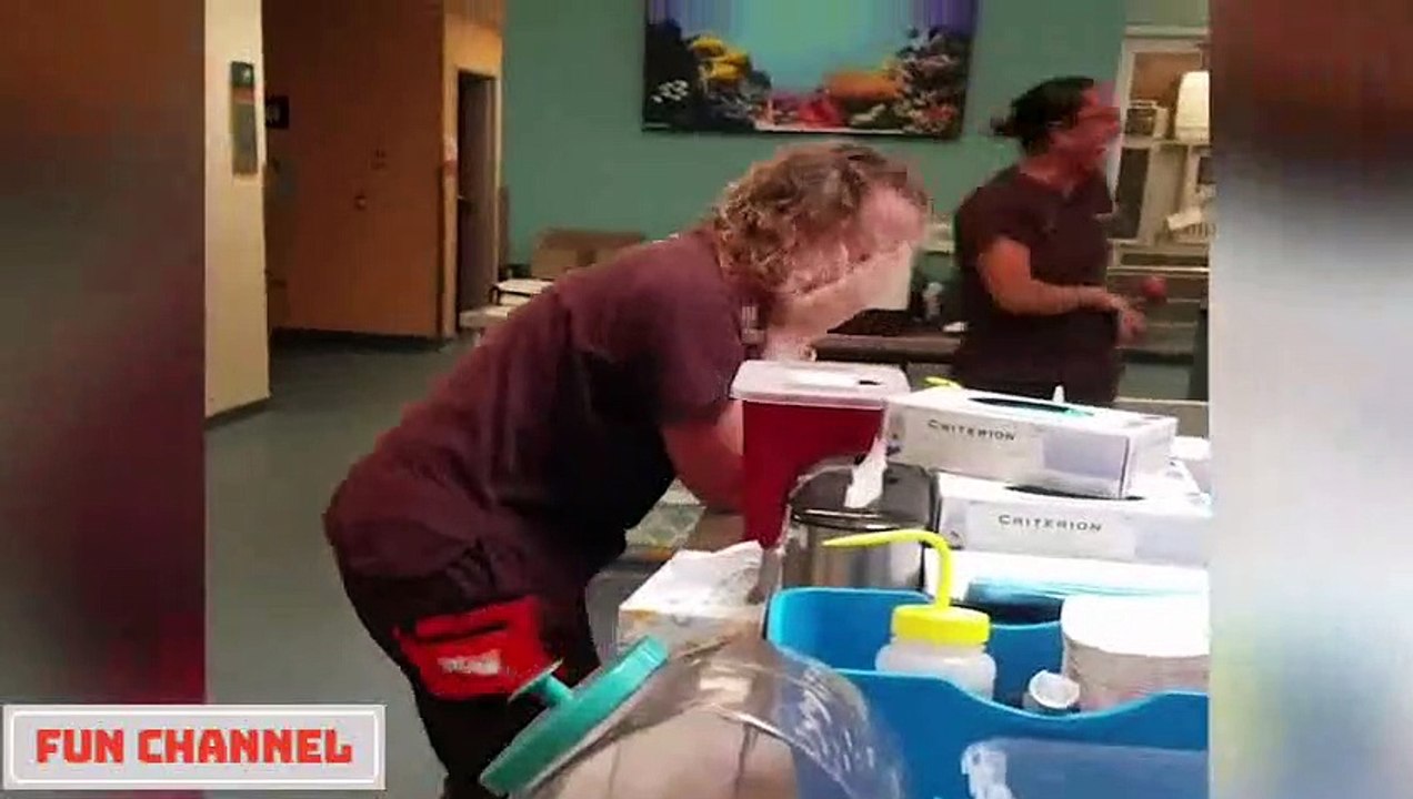 Videos Divertidos Try Not To Laugh Funny Fails Videos 2020 #58