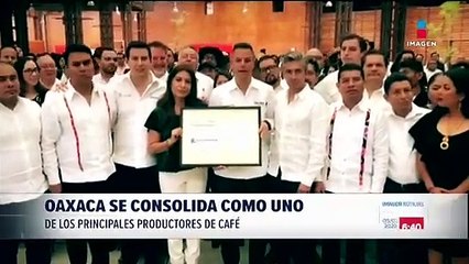 Oaxaca se consolida como uno de los principales productores de café